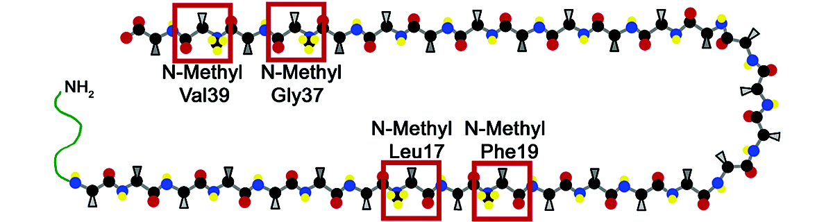 Custom Peptide Brief Checklist